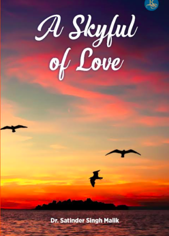 Cover of A Skyful of Love